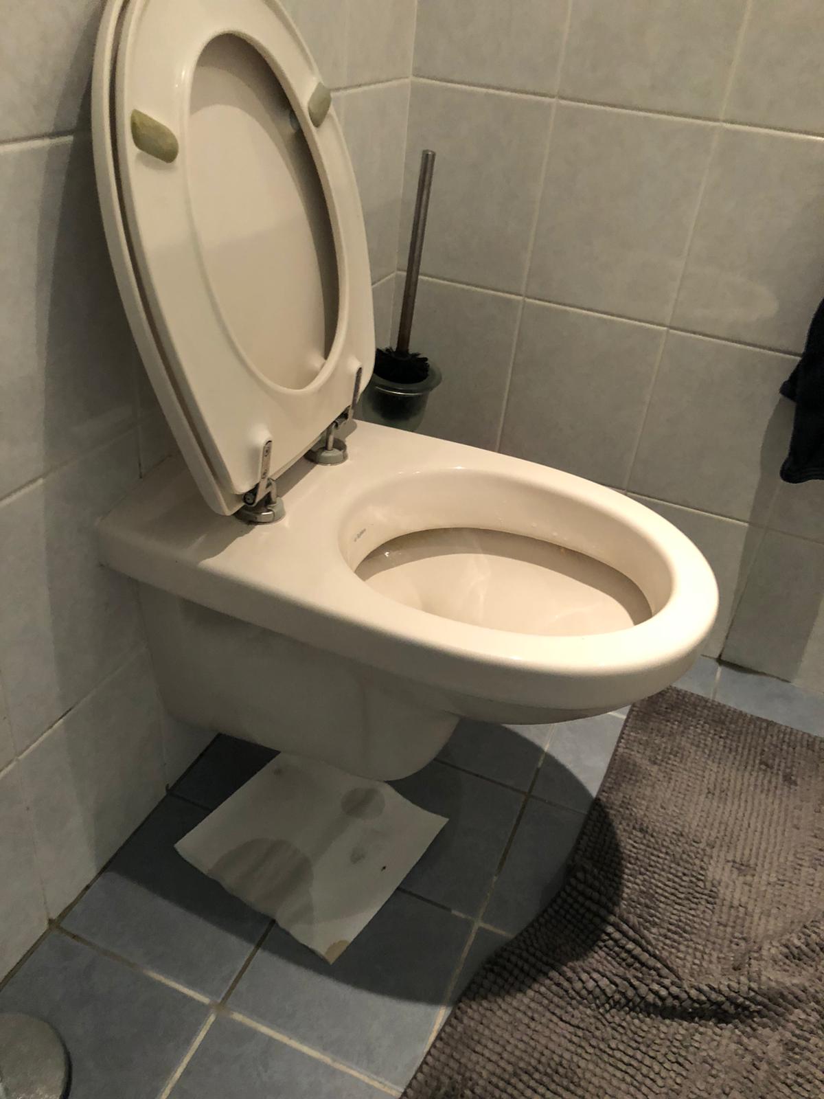 hangtoilet Mijdrecht